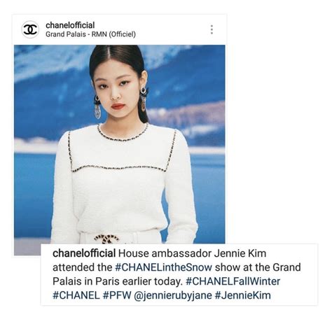 house ambassador chanel meaning